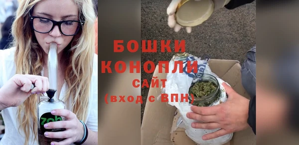 ECSTASY Гусев
