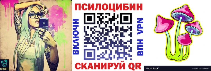 Псилоцибиновые грибы Psilocybe Гремячинск