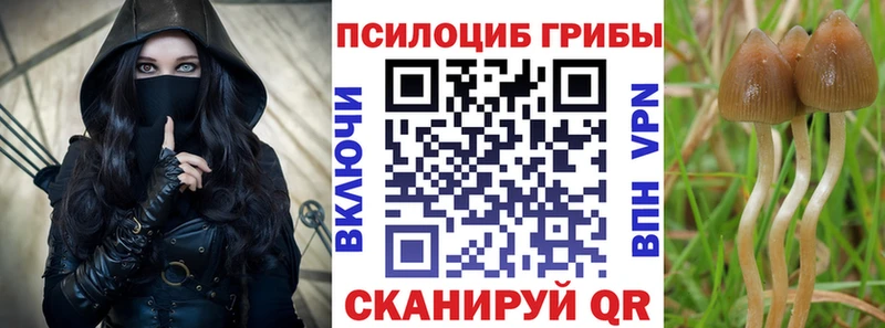 Псилоцибиновые грибы ЛСД  Купить закладки  Гремячинск 